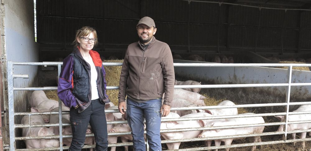 Lionel et Sabrina Galy ont investi 25 000 € pour aménager des cases sur paille pour leurs porcs dans cette ancienne stabulation ouverte.
