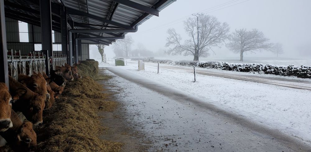 Les chutes de neige se sont intensifiées la nuit dernière.