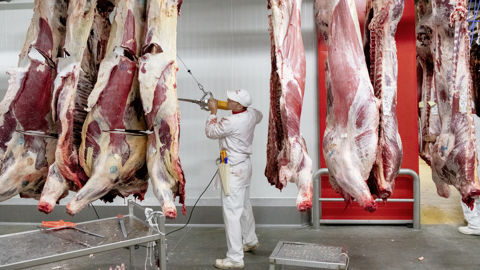 Arterris Viandes est vouée à être l'interlocuteur unique des quatre sociétés qu'elle regroupe désormais.