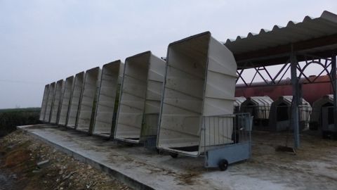 En cas de diarrhée à cryptosporidiose, avant de remettre un nouveau veau dans le local ou dans la niche, il est nécessaire de passer au nettoyeur haute pression le local et le sol. En cas de diarrhée à cryptosporidiose, avant de remettre un nouveau veau dans le local ou dans la niche, il est nécessaire de passer au nettoyeur haute pression le local et le sol.