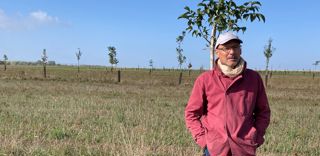 L emprise des arbres plantés par Stéphane Brodeur représente 10% de la surface de la parcelle. L emprise des arbres plantés par Stéphane Brodeur représente 10% de la surface de la parcelle.