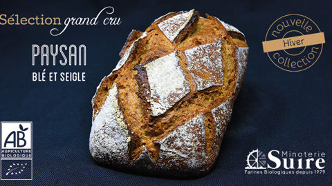 La nouveauté de la Minoterie Suire présentée au Sirha Lyon 2023 : le grand cru, un pain bio de blé et de seigle ancestraux au levain naturel. La nouveauté de la Minoterie Suire présentée au Sirha Lyon 2023 : le grand cru, un pain bio de blé et de seigle ancestraux au levain naturel.