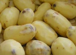 Noircissement interne des tubercules.