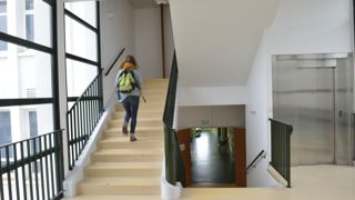 Chaque année se sont ainsi 6 000 étudiants de l’enseignement agricoles qui quittent la France pour une mobilité Erasmus +. Chaque année se sont ainsi 6 000 étudiants de l’enseignement agricoles qui quittent la France pour une mobilité Erasmus +.