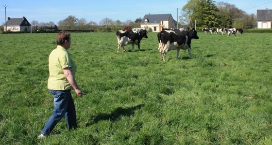 Crédit d'impôt remplacement des agriculteurs