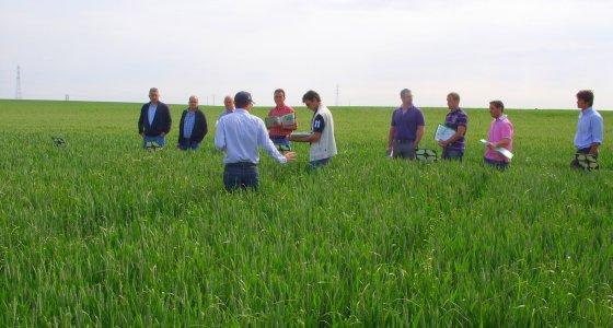 Jouffray Drillaud se rapproche d'Interagro.