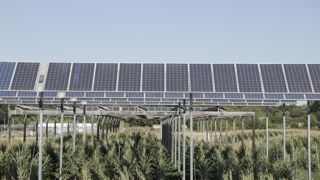 La nouvelle loi sur l'accélération des énergies renouvelables offre enfin un cadre réglementaire à l'agrivoltaïsme. La nouvelle loi sur l'accélération des énergies renouvelables offre enfin un cadre réglementaire à l'agrivoltaïsme.