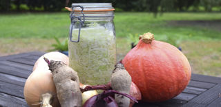 De nombreux légumes se prêtent à la lactofermentation, en particulier les légumes racines et ceux à feuille dure. De nombreux légumes se prêtent à la lactofermentation, en particulier les légumes racines et ceux à feuille dure.