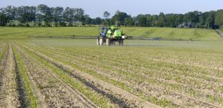 Le S-métolachlore est un herbicide à action racinaire antigerminative de prélevée ou de post-levée précoce, utilisé sur des cultures de printemps. Le S-métolachlore est un herbicide à action racinaire antigerminative de prélevée ou de post-levée précoce, utilisé sur des cultures de printemps.