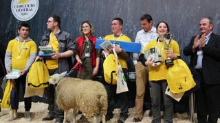 Romain Vivier (au centre avec un paquet bleu), le lauréat des Ovinpiades 2023 a reçu de nombreux cadeaux dont une agnelle texel. Romain Vivier (au centre avec un paquet bleu), le lauréat des Ovinpiades 2023 a reçu de nombreux cadeaux dont une agnelle texel.