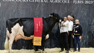 Prim'Holstein - Ducasse Jaka, propriétée de l'Earl de Banos (Landes)