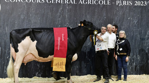 Prim'Holstein - Ducasse Jaka, propriétée de l'Earl de Banos (Landes)