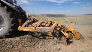 Alpego Cayman CF Top-Spring