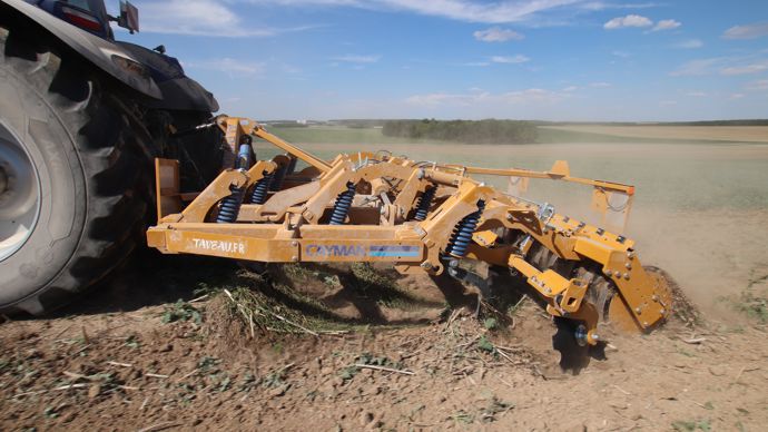 Alpego Cayman CF Top-Spring