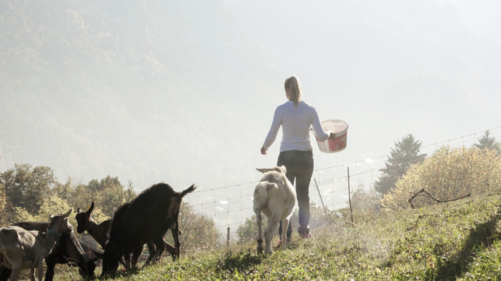 Les agricultrices ressentent davantage un sentiment d'illégitimité dans leur travail que les hommes. Les agricultrices ressentent davantage un sentiment d'illégitimité dans leur travail que les hommes.