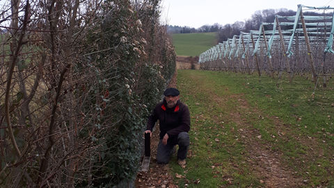 Dans ses vergers, David Henocq a installé 200 écopièges contre les rats taupiers.
