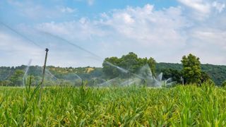 Bassines Non Merci, les Soulèvements de la Terre et la Confédération paysanne maintiennent leur appel à manifester contre les projets de retenues d'eau dans les Deux-Sèvres. Bassines Non Merci, les Soulèvements de la Terre et la Confédération paysanne maintiennent leur appel à manifester contre les projets de retenues d'eau dans les Deux-Sèvres.