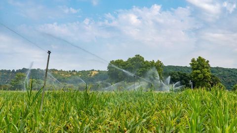 Bassines Non Merci, les Soulèvements de la Terre et la Confédération paysanne maintiennent leur appel à manifester contre les projets de retenues d'eau dans les Deux-Sèvres. Bassines Non Merci, les Soulèvements de la Terre et la Confédération paysanne maintiennent leur appel à manifester contre les projets de retenues d'eau dans les Deux-Sèvres.
