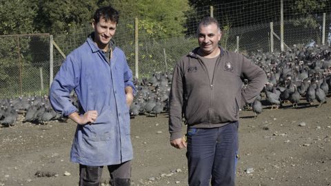 Matthieu (à gauche) et David Labarthe : le premier gère l’élevage, le second se charge des grandes cultures et vient en renfort sur les volailles festives. Ils travaillent ensemble à la culture des asperges.