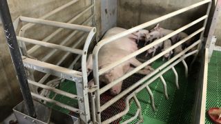 Renouveler une maternité bloquée coûte 4500 euros la place, contre 5500 euros pour passer de maternité bloquée à maternité en liberté.