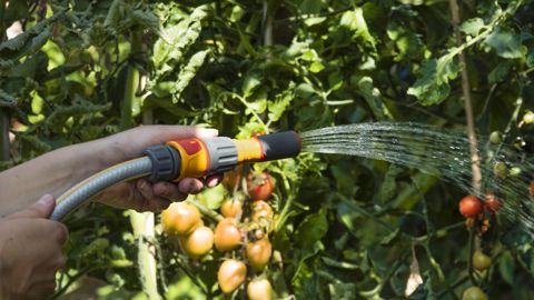 Lance 3-en-1 polyvalente d'Hozelock