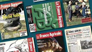 4 000 numéros à vos côtés. 4 000 numéros à vos côtés.