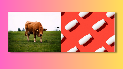 Aujourd’hui, Carbon Maps va plus loin et annonce avoir calculé l’intensité carbone de 50.000 produits alimentaires