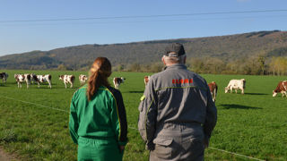 Les freins à l'installation des femmes sont plus importants que pour les hommes, selon une enquête de la chambre régionale d’agriculture de la Bretagne. Les freins à l'installation des femmes sont plus importants que pour les hommes, selon une enquête de la chambre régionale d’agriculture de la Bretagne.
