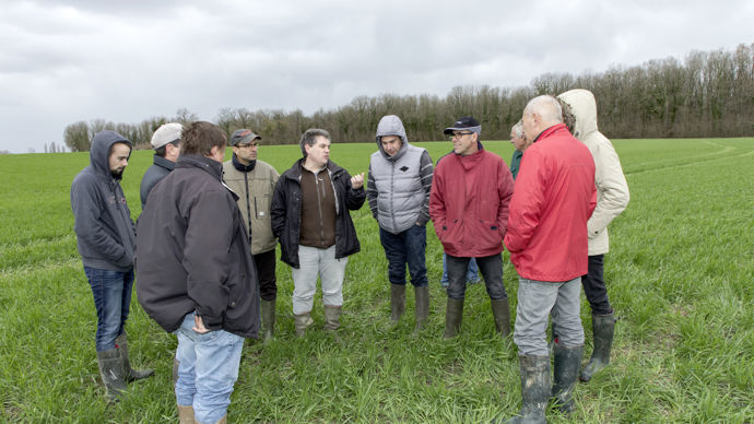 Soutien, partage, technique... les collectifs peuvent apporter aux agriculteurs des solutions qui préservent leur santé mentale.
