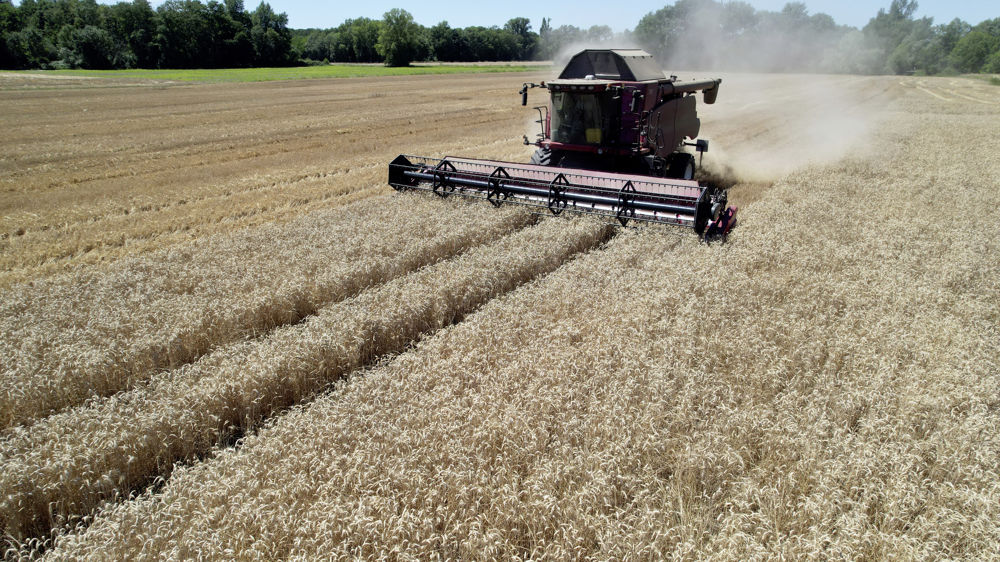 L’institut Jacques Delors estime  que « la tendance à promouvoir la productivité plutôt que la durabilité au nom de la sécurité alimentaire s’est développée », et qu'il s’agit d’un « revers » pour le verdissement du système agroalimentaire de l’Union.