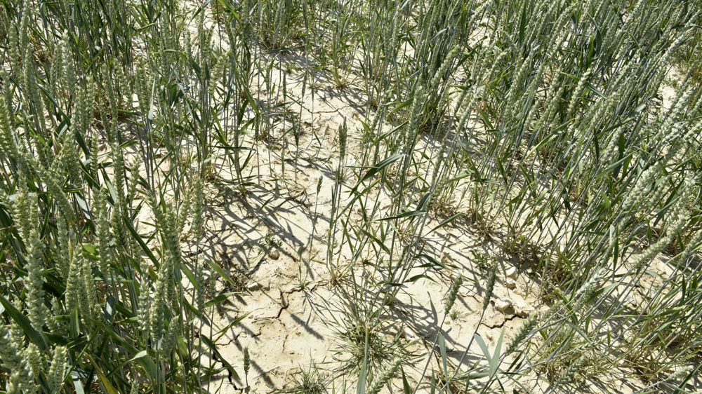 Un rapport interministériel sur la gestion de la ressource en eau pendant la sécheresse par l’Administration l’été dernier devrait être rendu public le 11 avril 2023.