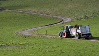Du fumier et de la boue sur la route Du fumier et de la boue sur la route