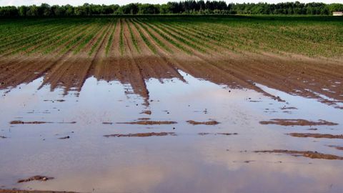 24 communes sont reconnues en état de catastrophe naturelle suite à des mouvements de terrain ou des inondations.