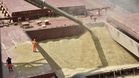 Les exportations mondiales de blé atteindraient 213 millions de tonnes en 2022-2023, en hausse de 5 % par rapport à l’an dernier. Le premier acheteur est la Chine, avec 12 millions de tonnes. Les exportations mondiales de blé atteindraient 213 millions de tonnes en 2022-2023, en hausse de 5 % par rapport à l’an dernier. Le premier acheteur est la Chine, avec 12 millions de tonnes.