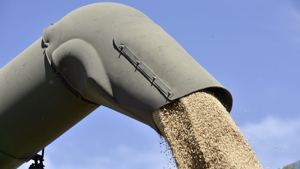 La Bulgarie interdit à son tour l'importation de céréales et la Hongrie interdit une dizaine de produits alimentaires à la vente.