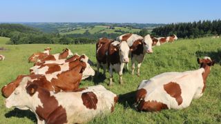 L’augmentation du prix du lait compense la hausse des charges en 2021-2022. L’augmentation du prix du lait compense la hausse des charges en 2021-2022.