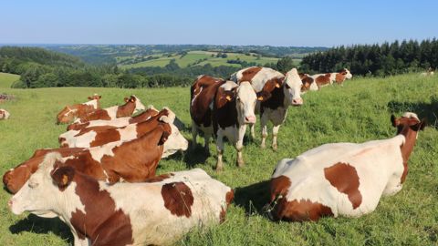 L’augmentation du prix du lait compense la hausse des charges en 2021-2022.