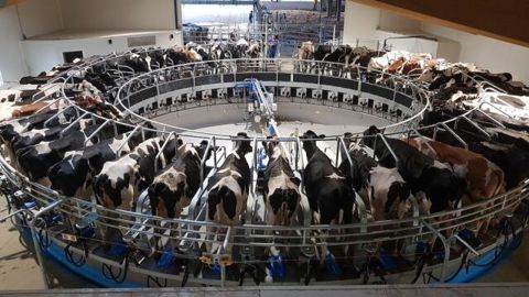 DeLaval fête ses 140 ans DeLaval fête ses 140 ans