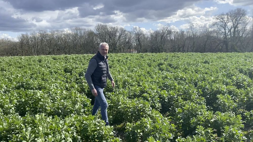 Le groupe veut se positionner davantage sur l'agriculture régénératrice et la sobriété carbone, développe Laurent Badin, directeur commercial du pôle végétal de Maïsadour. Le groupe veut se positionner davantage sur l'agriculture régénératrice et la sobriété carbone, développe Laurent Badin, directeur commercial du pôle végétal de Maïsadour.