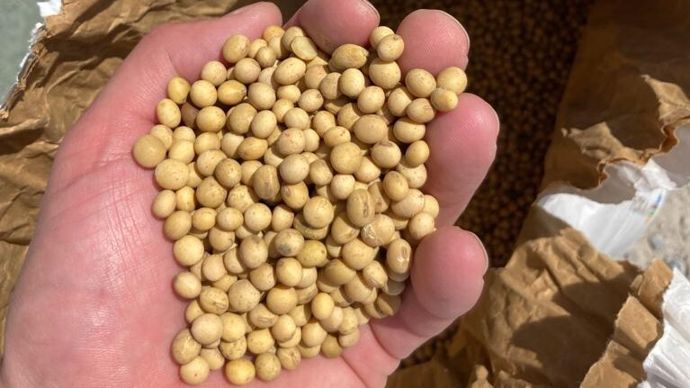 La future usine triturera 25 000 t/an de graines de soja produites dans la région et ailleurs en France, non OGM et pour moitié en bio.