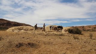 En 2022, plus d'un quart de milliard de personnes souffraient d'insécurité alimentaire dans le monde. En 2022, plus d'un quart de milliard de personnes souffraient d'insécurité alimentaire dans le monde.