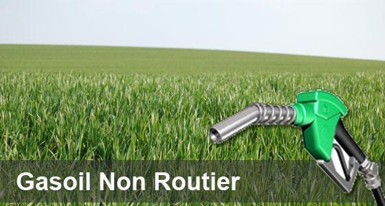 Club Gnr de Terre-net Média