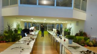 Epreuve d'une finale du concours sur Paysalia.