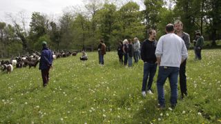 Chez Anita Duhau le 24 avril 2023, pendant une journée axée sur le partage, la convivialité et la gastronomie autour de la chèvre des Pyrénées.
