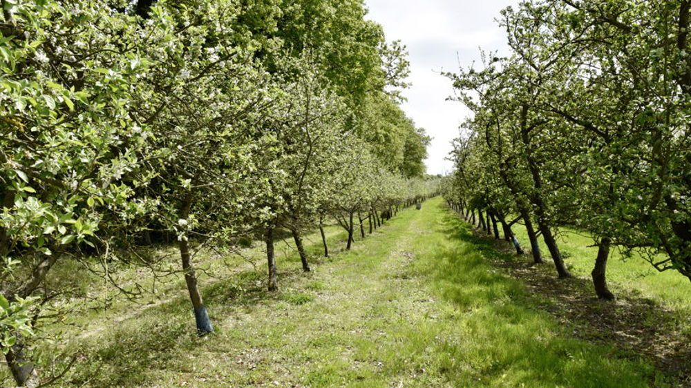 France Nature Environnement (FNE) et Générations futures déposent un recours devant la justice au sujet des contrôles des arboriculteurs.