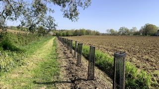 Constatant que le linéaire de haies qui disparaissent est six fois plus élevé que les replantations, malgré l’effort de certaines collectivités en ce sens (ici une replantation récente en Bretagne), l’Afac-Agroforesteries plaide pour un plan Marshall pour les haies. Constatant que le linéaire de haies qui disparaissent est six fois plus élevé que les replantations, malgré l’effort de certaines collectivités en ce sens (ici une replantation récente en Bretagne), l’Afac-Agroforesteries plaide pour un plan Marshall pour les haies.