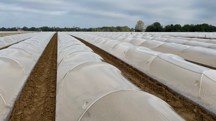 Un film horticole produit en économie circulaire Un film horticole produit en économie circulaire