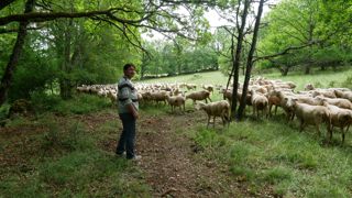 Lilian Boulpiquante sur les 30 hectares qu'il entretient : « Cette opération de reconquête a aussi permis de rencontrer plein de gens du village qu'on ne connaissait pas. » Lilian Boulpiquante sur les 30 hectares qu'il entretient : « Cette opération de reconquête a aussi permis de rencontrer plein de gens du village qu'on ne connaissait pas. »