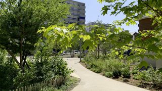 Trois organismes, Plante et Cité, l’Ademe et le Cerema unissent leurs forces dans un programme visant une meilleure connaissance de l’adaptation au changement climatique et de la capacité à rafraîchir la ville des végétaux.