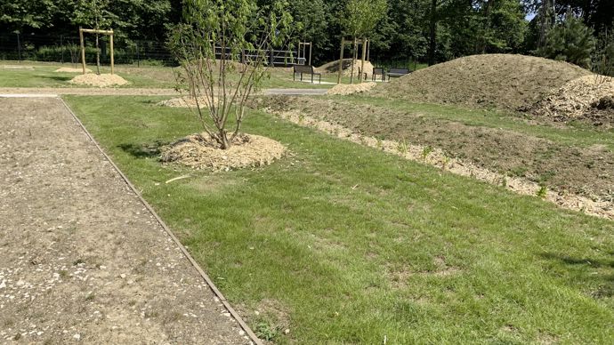Le nouveau cimetière de Lieusaint (77) a été conçu avec des allées en mélange terre-pierre, des noues plantées de vivaces pour collecter les eaux de pluie et une trame arborée qui vient renforcer l’existant. Le nouveau cimetière de Lieusaint (77) a été conçu avec des allées en mélange terre-pierre, des noues plantées de vivaces pour collecter les eaux de pluie et une trame arborée qui vient renforcer l’existant.
